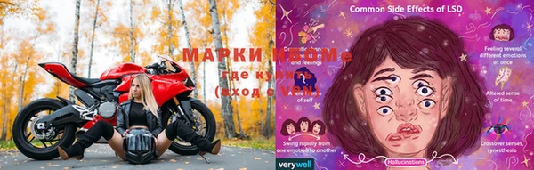 тгк Алзамай